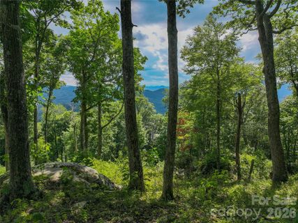 G30 Lodge Woods Trail active home in The Lodges At Eagles Nest, Banner Elk, NC