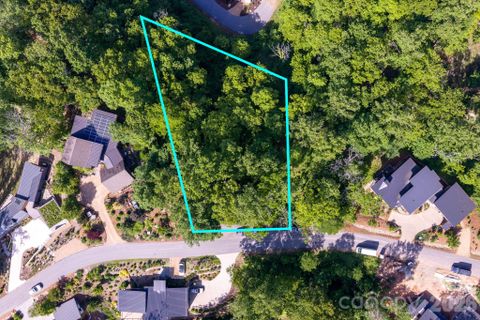 17 Tulip Poplar Trail active home in Olivette, Asheville, NC