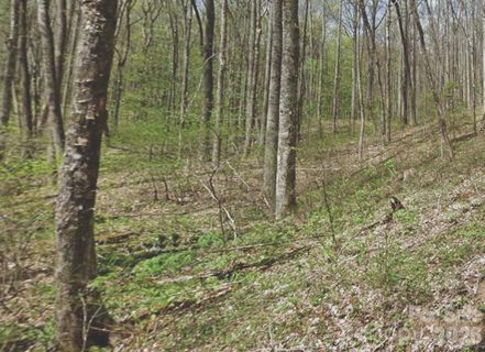000 Heather Way active home in Balsam Forest, Waynesville, NC