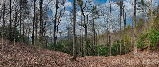 Lot 127 Bear River Lodge Trail active home in Bear River Lodge, Marshall, NC