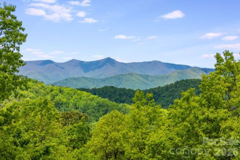 Homes in High Rock Acres, Black Mountain