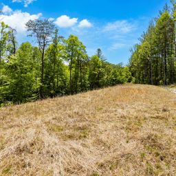 151 Riverbend Forest Drive