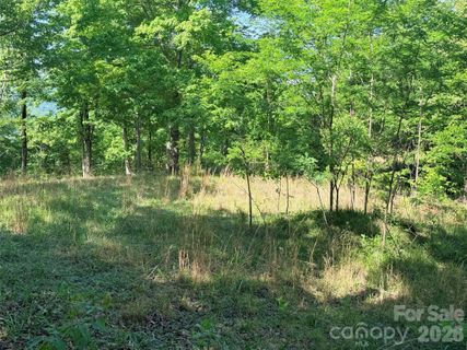 Lot 8 High Rock Ridge active home in Rumbling Bald On Lake Lure, Lake Lure, NC