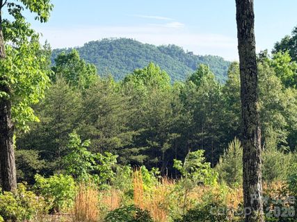 Lot 11 Brookside Parkway active home in Brookside Forest, Lake Lure, NC