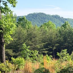 Lot 11 Brookside Parkway