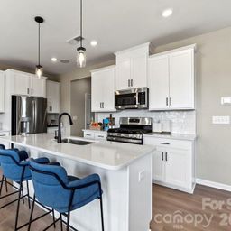 17118 Walker Wylie Drive