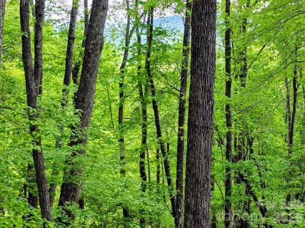 00 Hickory Springs Road