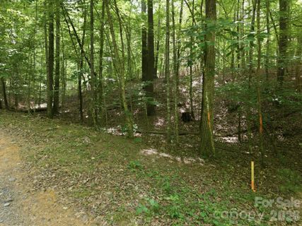 2411 Hundred Acres Lane