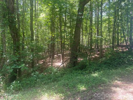 0 Locust Lane