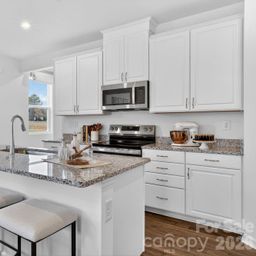 407 Silver Birch Court