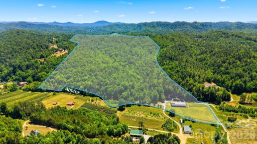 81 Acres 2967 Roby Martin Road