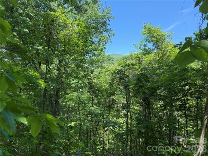 0 Buffalo Shoals Road