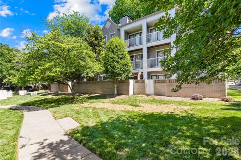 244 S Cedar Street