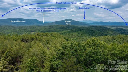 Lot 731 5971 Box Turtle Run active home in The Coves Mountain River Club, Lenoir, NC