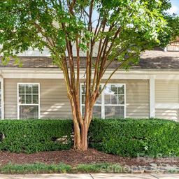 1423 Jasper Ridge Drive