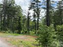 173 Cascade Ridge Road sold home in Fairview, SC