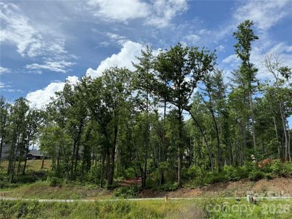 207 Cascade Ridge Road sold home in Cascade Ridge, Fairview, NC