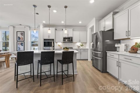 1047 Tundra Swan Drive active home in Sanctuary At Southgate, Indian Trail, NC