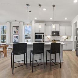 1047 Tundra Swan Drive
