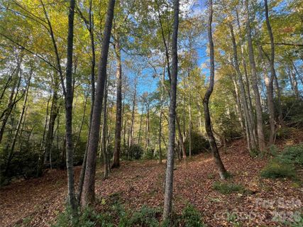 6 Dividing Ridge Trail active home in The Cliffs At Walnut Cove, Arden, NC