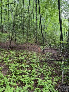 Lot 68 Cherrywood Lane active home in Stoney Brook, Pisgah Forest, NC