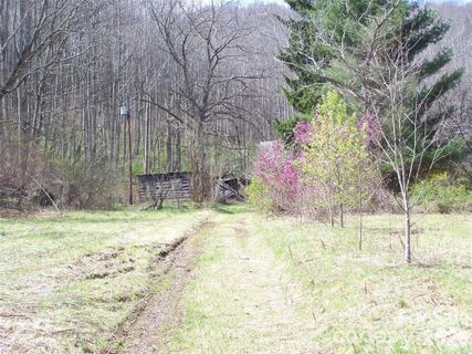 58 Collier Lane