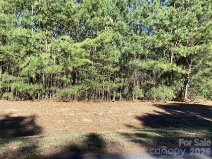 307 Twin Cove Drive active home in Harbor Ridge, Connelly Springs, NC