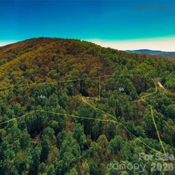 58 64 Flora Rose Trail