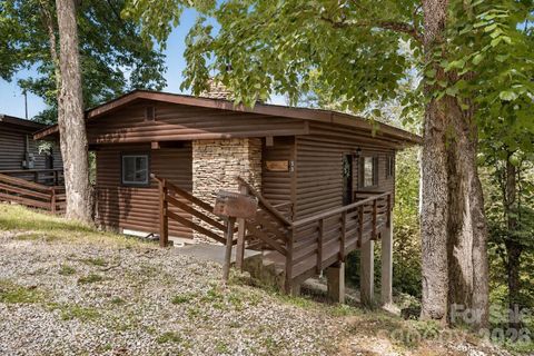319 Blue Ridge Parkway