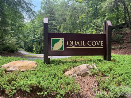 155 Quail Cove Boulevard active home in Rumbling Bald On Lake Lure, Lake Lure, NC