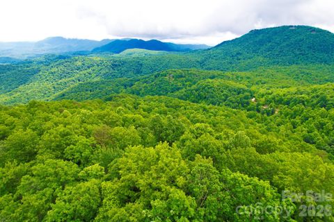 215 Laurel Mountain Trail