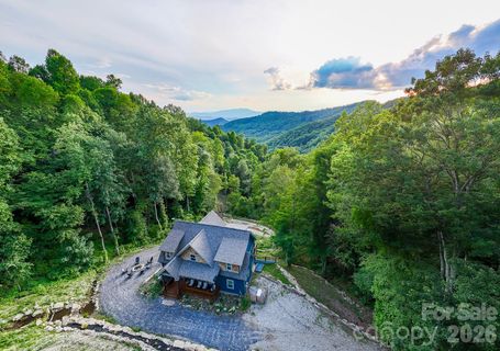 Homes in The Falls, Bryson City