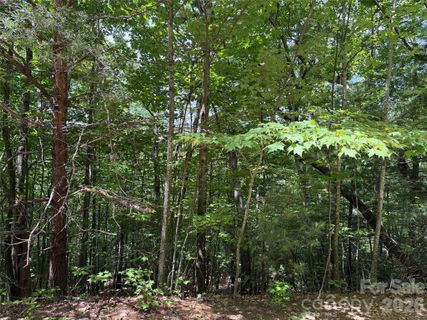 Tbd Warren Way active home in Buck Mountain, Purlear, NC