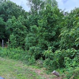 97 Devin Ridge Lane