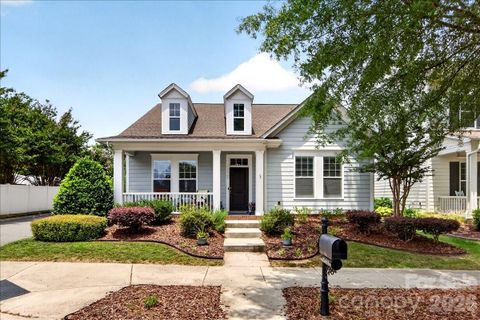 Homes in Bailey Springs, Davidson