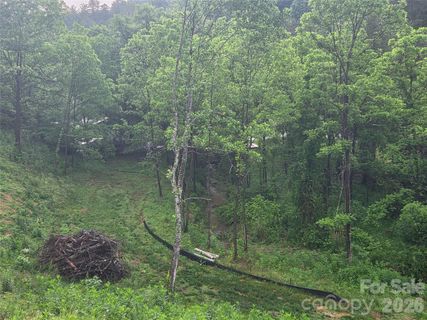 374 Big Branch Drive