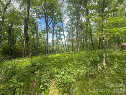 1026 Wolfs Head Court