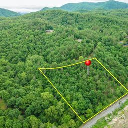 2391 French Broad Parkway