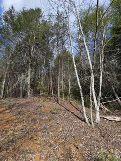 Lot 4 Kerlee Lane