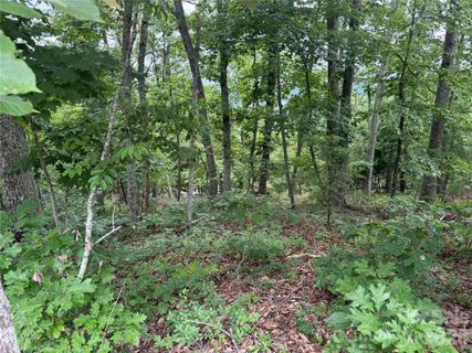 0 Arbra Mountain Way active home in Yellowtop Mountain Estates, Bostic, NC