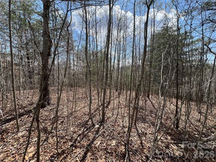 192 Pine Cone Trail active home in Firefly Mountain, Marshall, NC