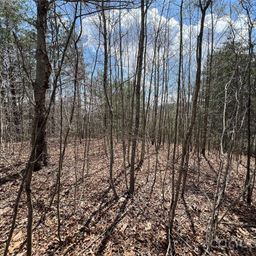 192 Pine Cone Trail