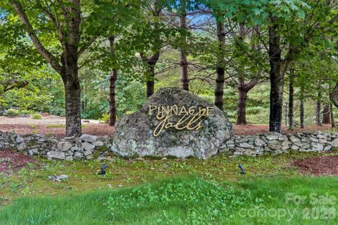11 Magnolia Branch Drive active home in Pinnacle Falls, Zirconia, NC