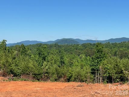 Tbd Vein Mountain Road