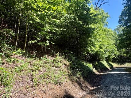0 Middle Ridge active home in Coppermine Ridge, Whittier, NC