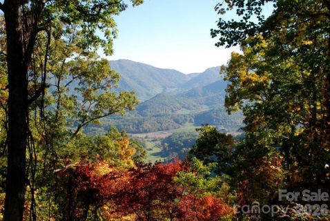 99999 Davidson Gap Road active home in Whisper Mountain, Leicester, NC