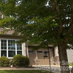 117 Fielding Street