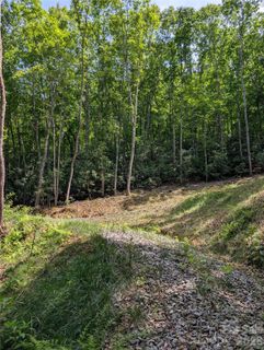 Homes in Treetops, Candler
