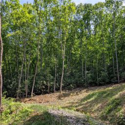 000 Pisgah Highway