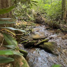 Lot 45 Abby Falls Drive